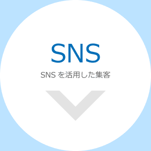 SNS